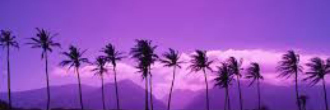 ROOMY_321's profile banner image