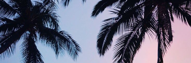 genesisch98's profile banner image