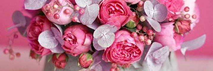 pertudecoflor's profile banner image