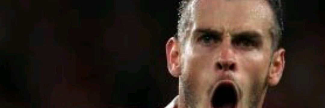 Fran Pelegrín banner