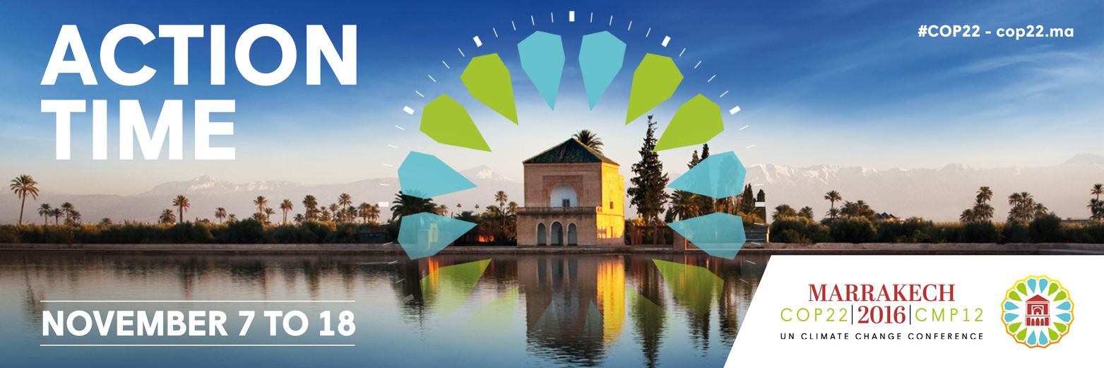 COP22 banner