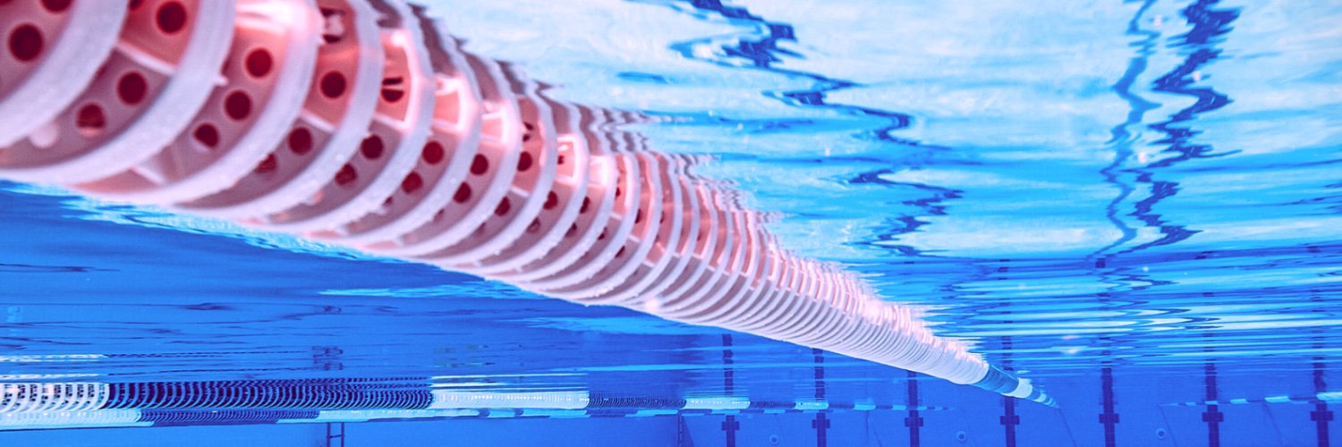 Dover LifeGuard Club banner