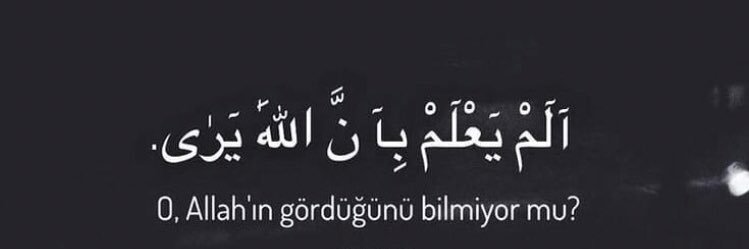 PltBurcu's profile banner image
