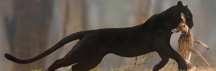 hanbrk's profile banner image