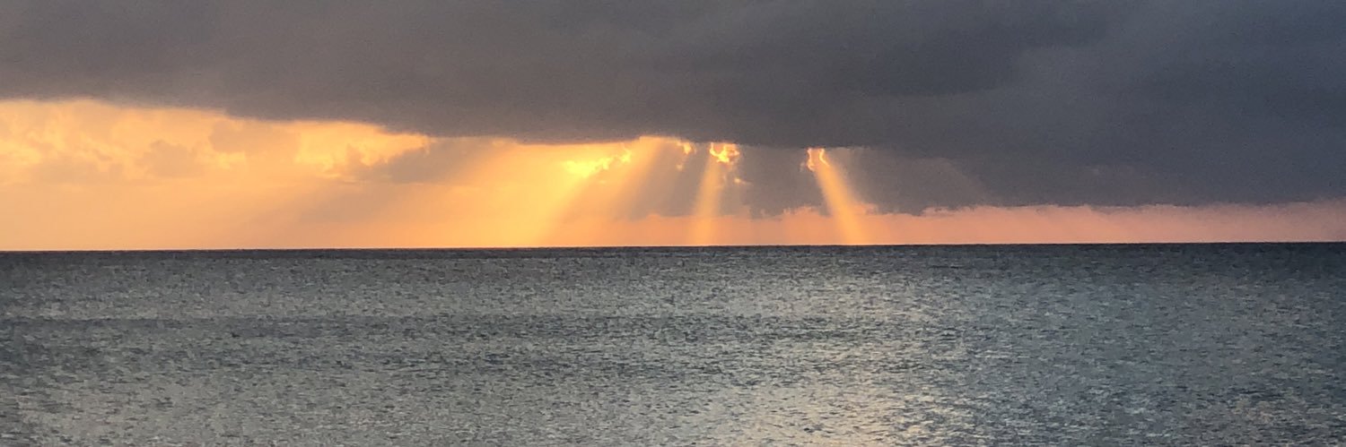 adriannaeh's profile banner image