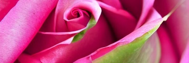 TORLEY 🍉🎹 banner