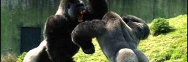 BSturla Profile Banner