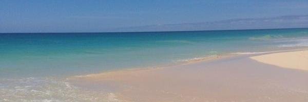 Ebio_Joy's profile banner image