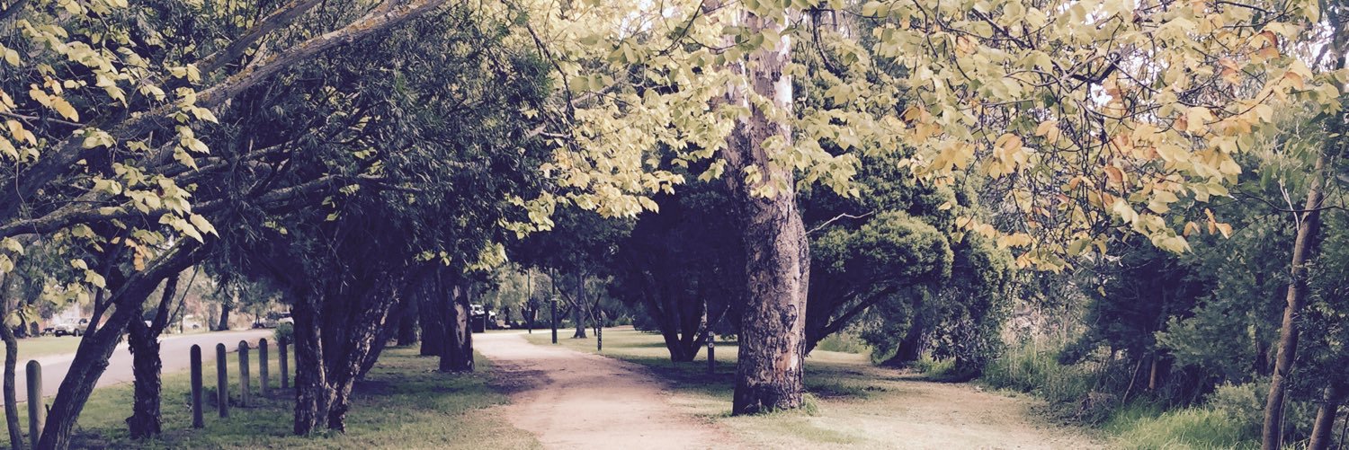 CarmenBoothman's profile banner image