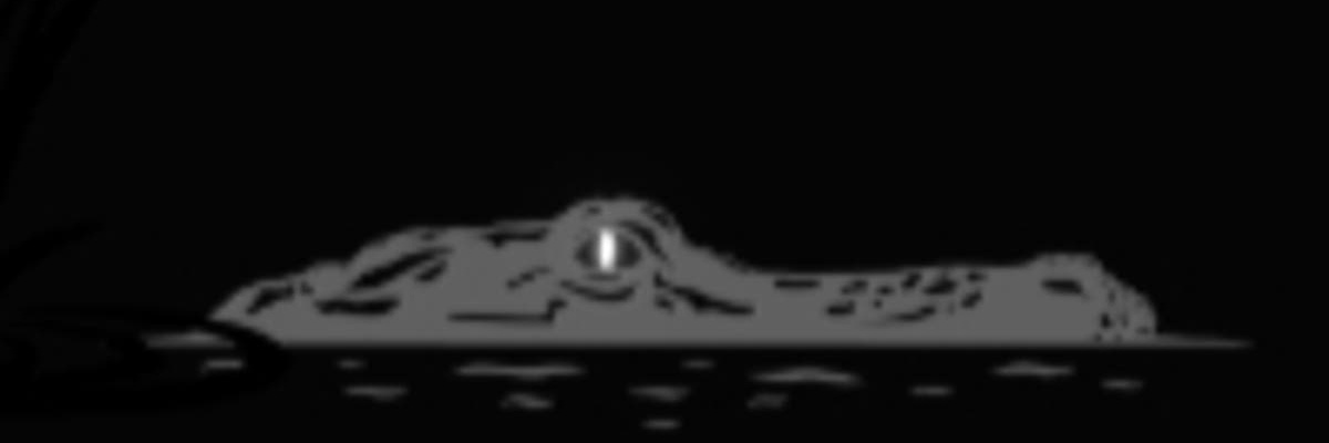 TomZankie's profile banner image
