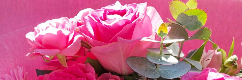 tinrose1964's profile banner image