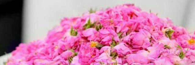 ‎اﻸريج ™ banner