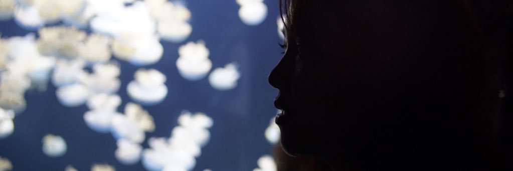 MoOMam's profile banner image