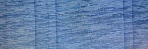 ProcFiskal Profile Banner