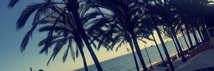 Chloegallx's profile banner image