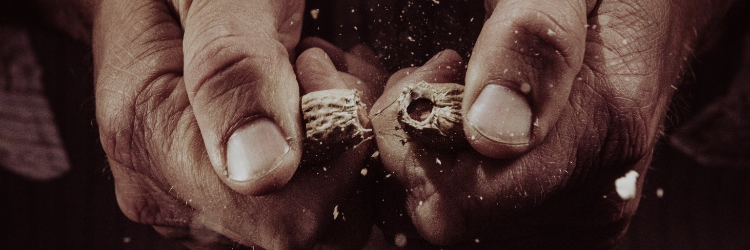 Maniagro Argentina banner