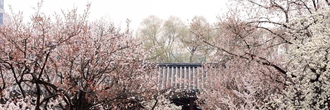 seon7163's profile banner image