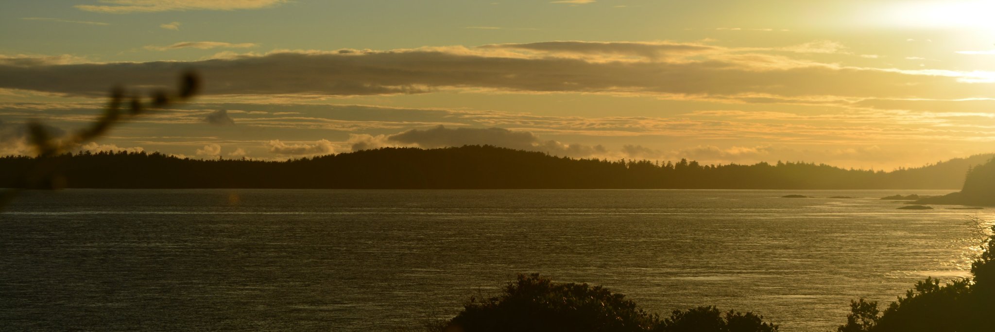 suew56's profile banner image