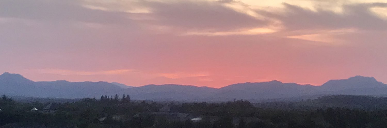 Dr Elaine Douglas banner