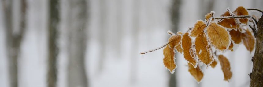 sirtcantam's profile banner image