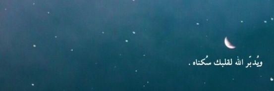triasuwarno's profile banner image