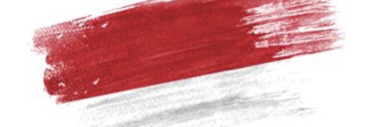 Afen Sena banner