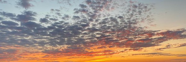 ddshiner Profile Banner