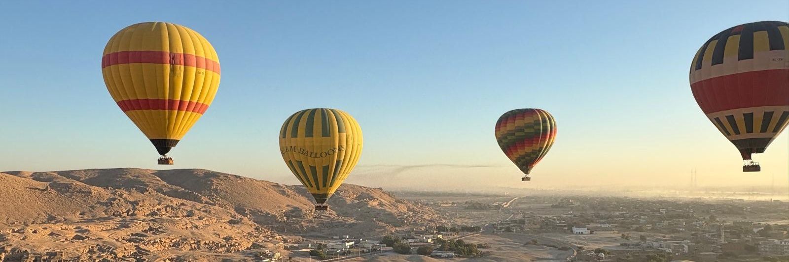 Michael Fisher banner