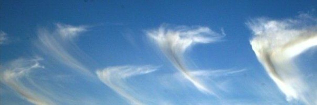 A Sighting 🇺🇸1️⃣st banner