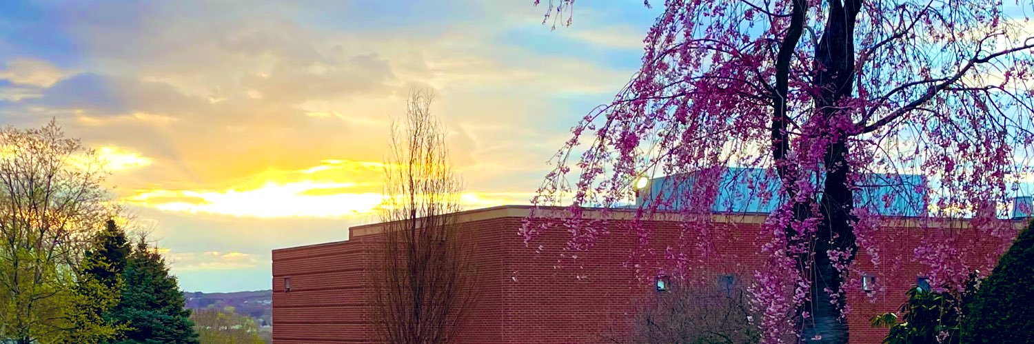 laurentesscasey's profile banner image
