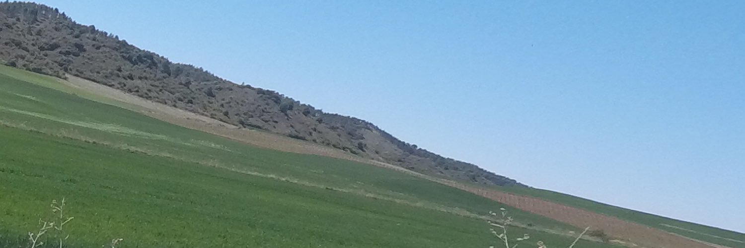 leonardootto's profile banner image