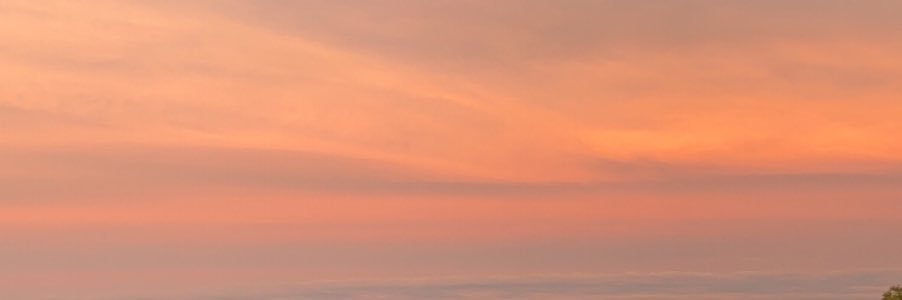 gryffinclaw394's profile banner image
