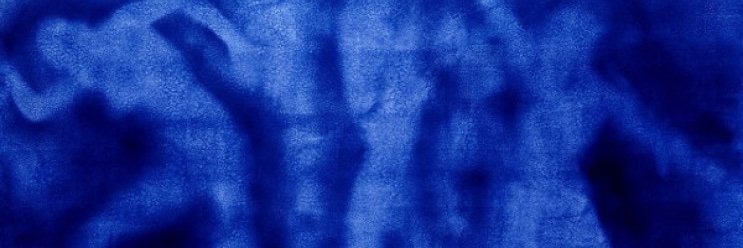 Fernanda Sánchez banner
