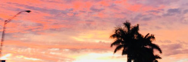 manijo7's profile banner image