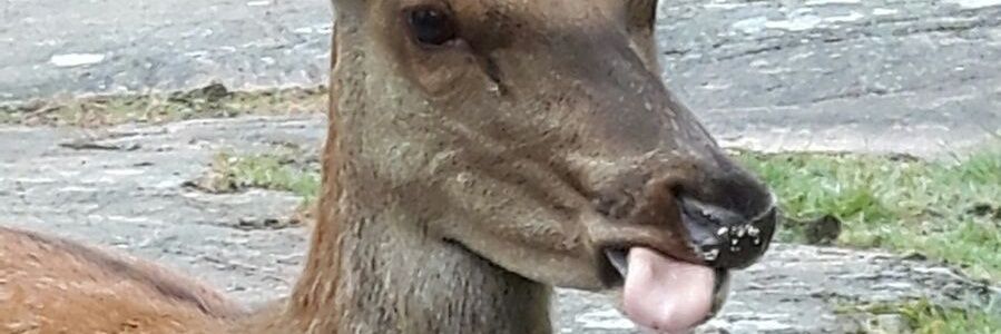 Closingtable_'s profile banner image