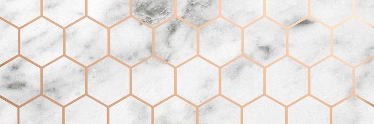 AmNi_14's profile banner image