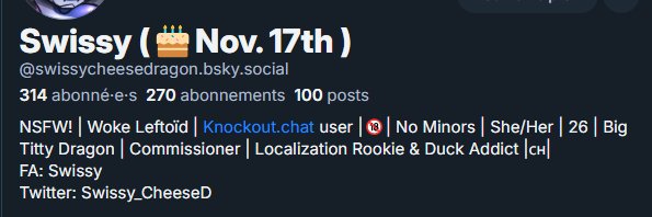 swissycheesedragon.bsky.social banner