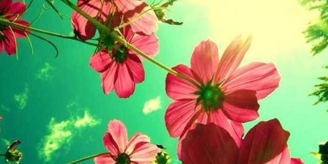 TashElwood's profile banner image