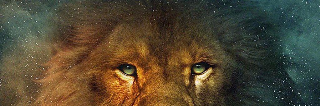 Meerrttunal's profile banner image