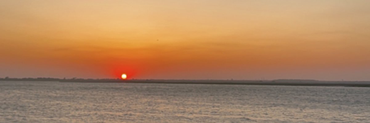 kristenpassaroo's profile banner image