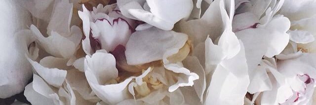 fedrabarrymore's profile banner image
