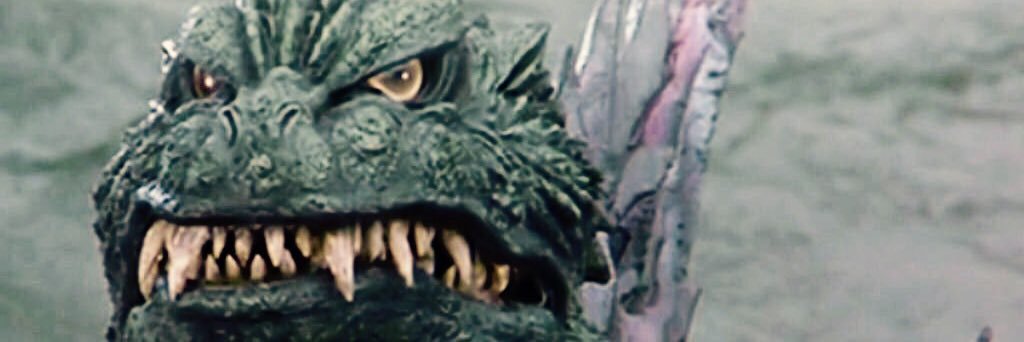 IAmDONZILLA's profile banner image
