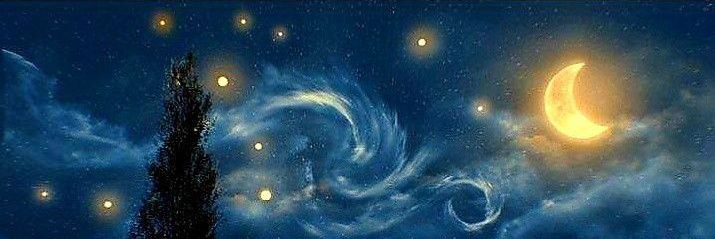 monwol1405's profile banner image