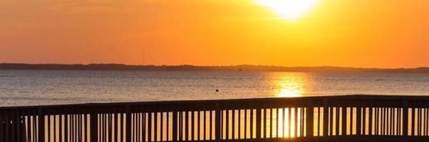 Anabel Arvizo banner