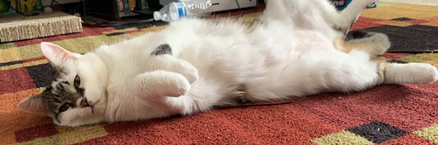 KittyKayla_B's profile banner image