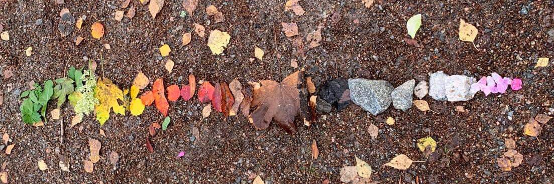 Sofia Laine 🕊 banner