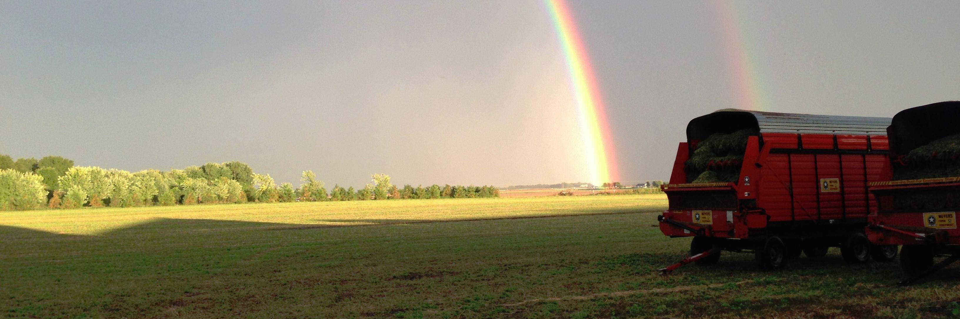 Mybarnyardview's profile banner image