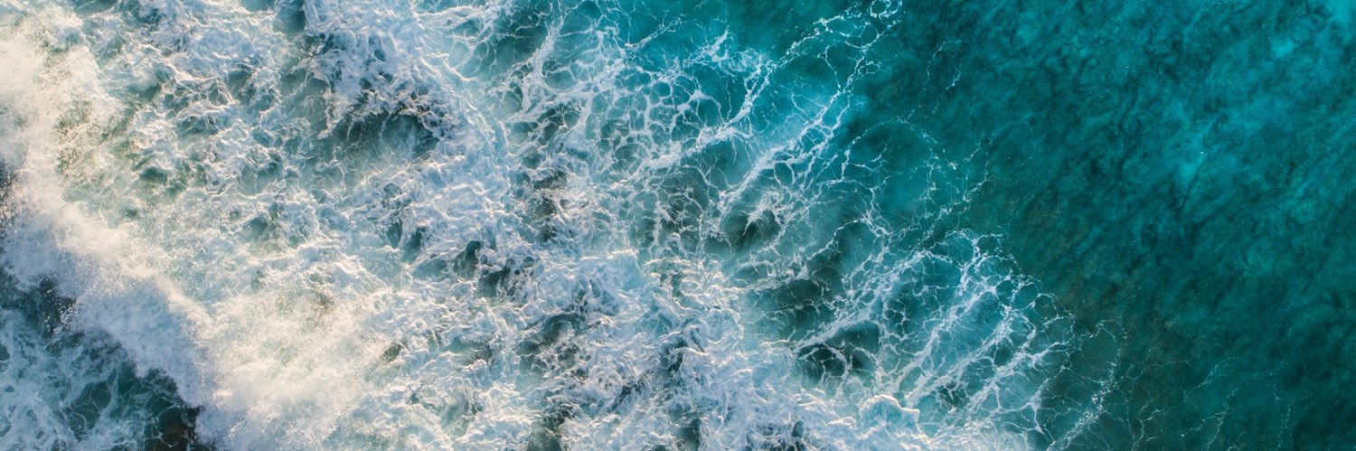 H u g o L e a l ® banner