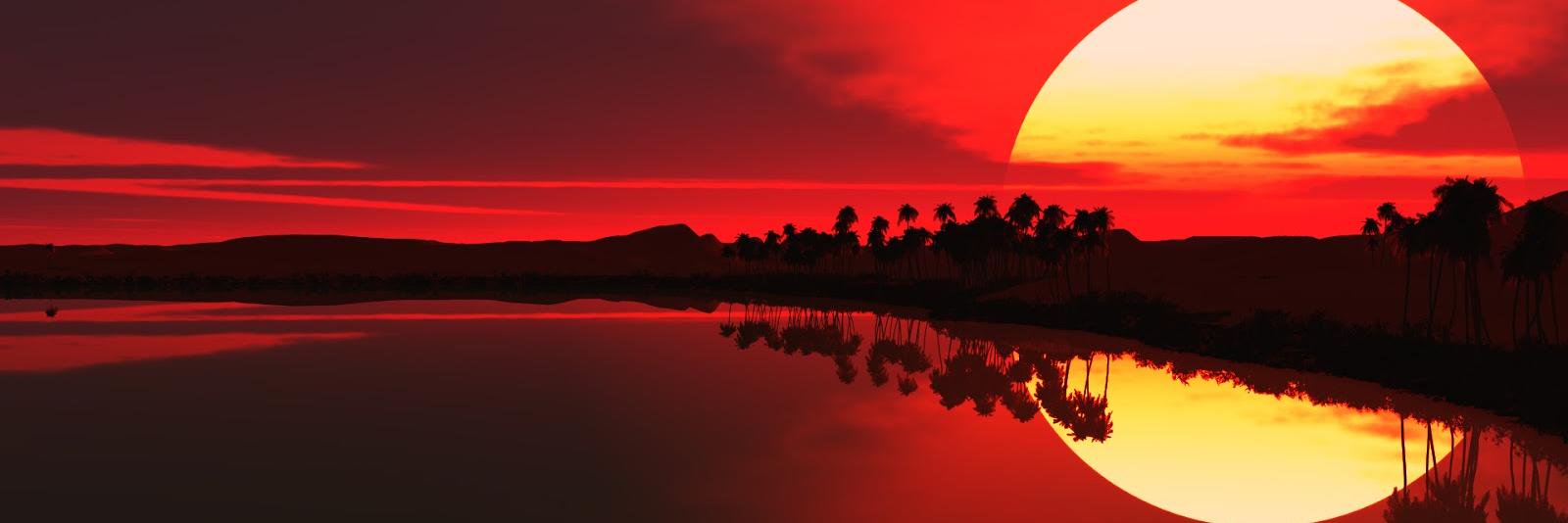 Seguí la armonía banner