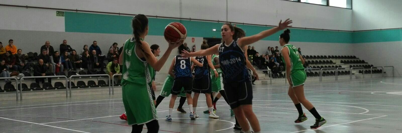 Asturbasket banner